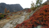Loetschental_12_008