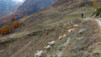 Loetschental_12_013