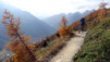 Loetschental_12_029
