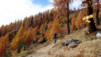 Loetschental_12_030