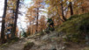 Loetschental_12_031