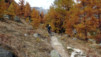 Loetschental_12_032