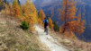 Loetschental_12_036