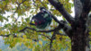 Loetschental_12_042