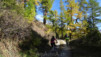 Loetschental_13_001