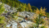 Loetschental_13_002