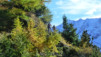 Loetschental_13_010
