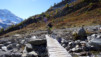 Loetschental_13_020