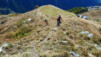 Loetschental_13_024