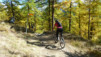 Loetschental_13_029