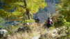 Loetschental_13_031