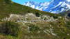Loetschental_13_032
