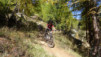 Loetschental_13_037