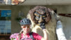 Loetschental_13_041