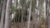 Love-Valley_009.jpg