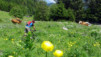 Lovenex-Taney_027.jpg