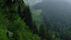 Lovenex-Taney_032.jpg
