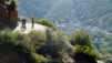 Magic_Carpet_004