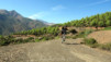 Magic_Carpet_005
