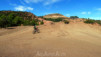 Magic_Carpet_006