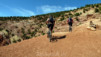 Magic_Carpet_016