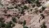 Magic_Carpet_017