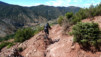 Magic_Carpet_021