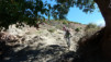 Magic_Carpet_023