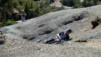 Magic_Carpet_030