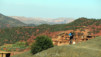 Magic_Carpet_035