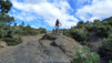Magic_Carpet_038