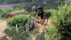 Maroc_Vallee_Ourika_031
