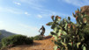 Maroc_Vallee_Ourika_033