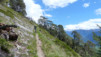 Mattachra_007