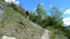 Mattachra_016