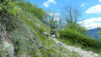 Mattachra_026