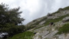 Mattachra_028