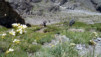 Mauvoisin_10_013