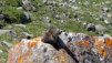 Mauvoisin_12_011