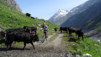 Mauvoisin_2013_004
