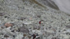 Meidpass_008.jpg