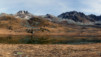 Meidpass_08_016.jpg