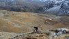 Meidpass_08_029.jpg