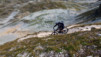 Meidpass_2011_011