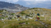 Meidpass_2013_006