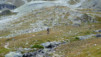 Meidpass_2013_010