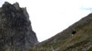 Meidpass_2013_017