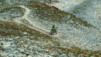 Meidpass_2013_021