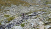 Meidpass_2013_035