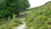 Meidpass_2013_039